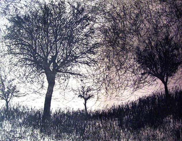 BOSQUE-11
