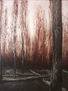 BOSQUE-13