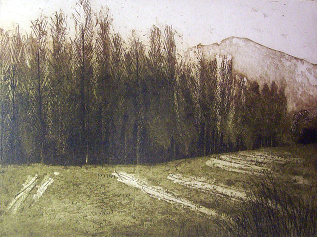 BOSQUE-05