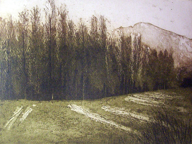 BOSQUE-05 Aquatint