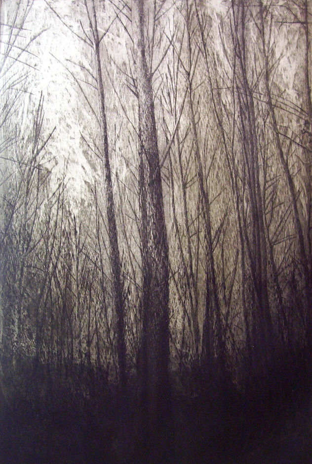 BOSQUE-37