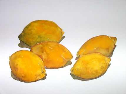 Limones-8