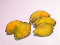 LIMONES-10