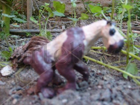 Moropus