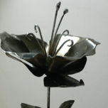 FLORES thumbnail 1