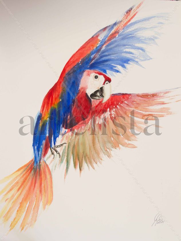 Ara en vuelo