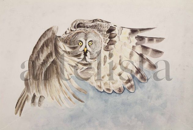 Eulenflug