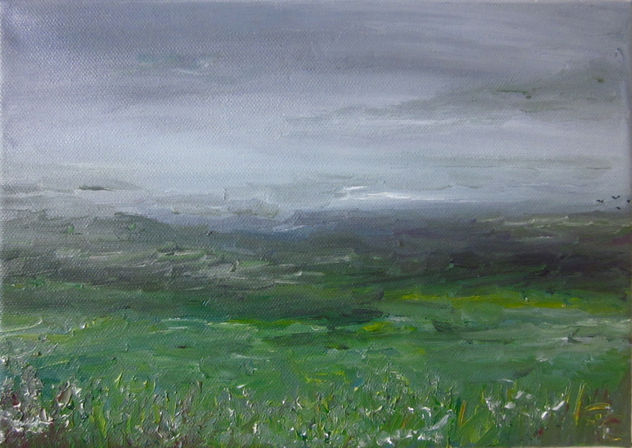 Campo