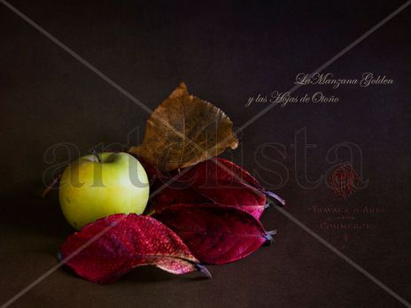 La Manzana y las Hojas