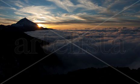 Tenerife