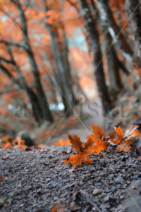 Otoño