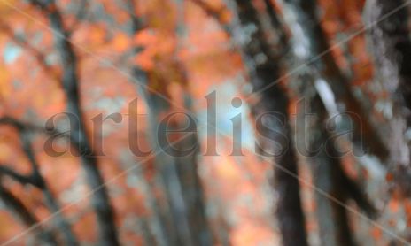 Naturaleza