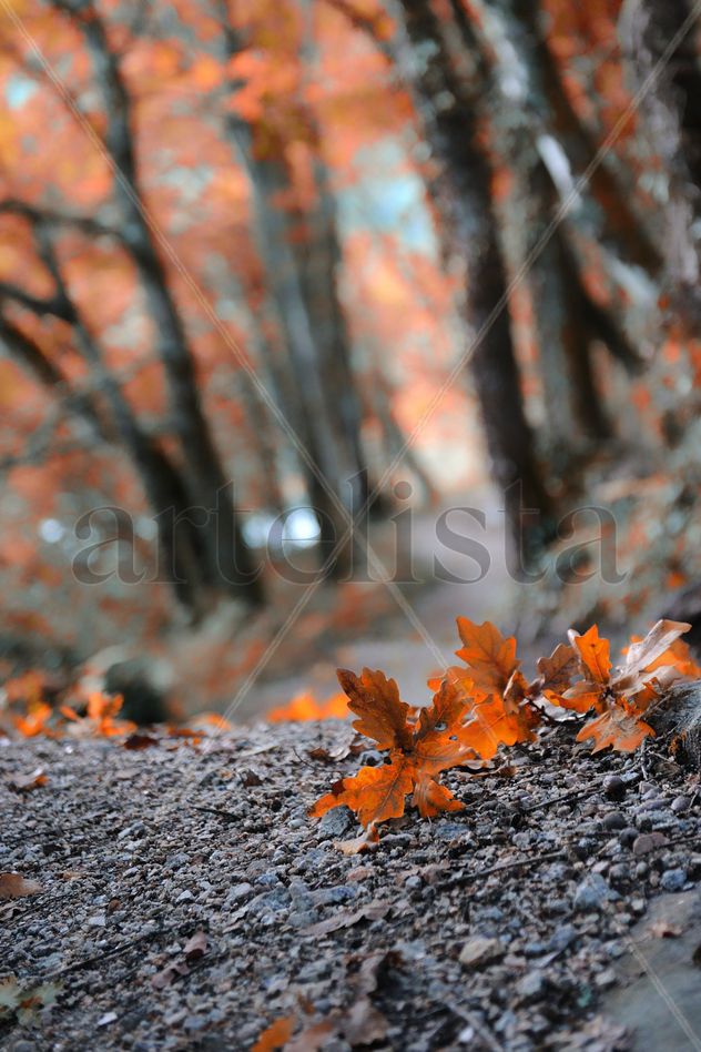 Otoño