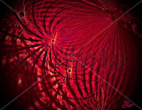 Lineas  magneticas