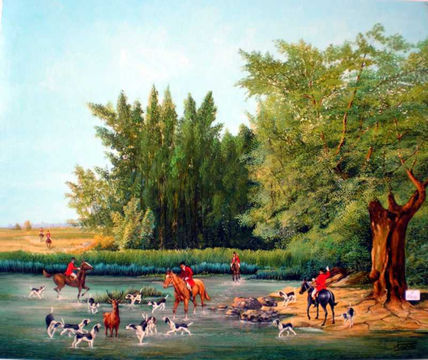 Caza inglesa