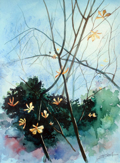 Hojas liberadas por la luz Watercolour Paper Landscaping