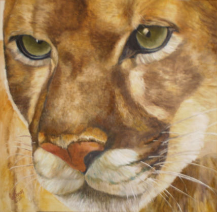 Puma