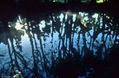 Reflejo Onírico