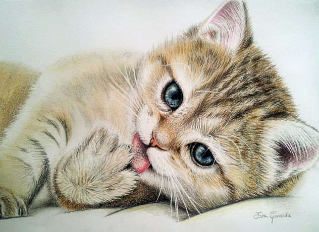 Gatito