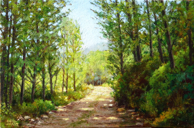 Sombra en el camino / Shadow on the road. Oil Canvas Landscaping