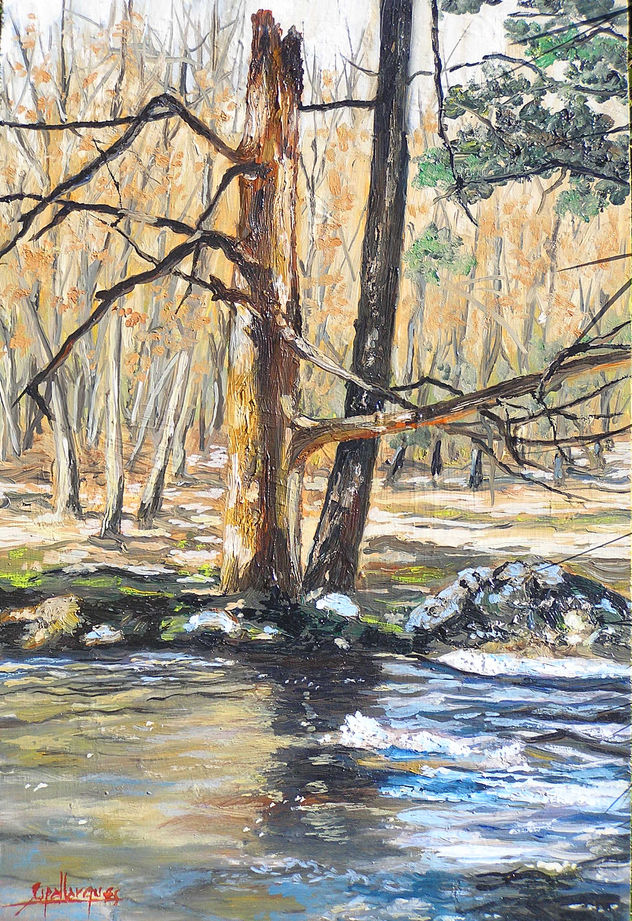 El pino seco