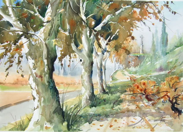 cami de can Codorniu Watercolour Paper Landscaping