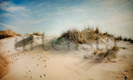 Dunas y Huellas.