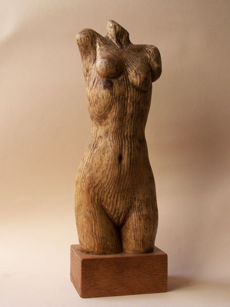 Torso femenino