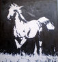 caballo 8