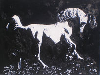 Caballo 9