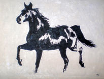 Caballo 11