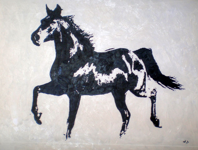 caballo 11