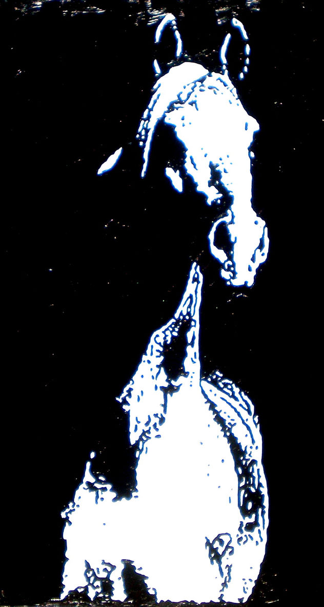 caballo 12