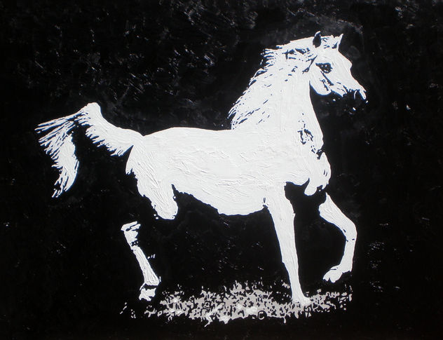 caballo 13