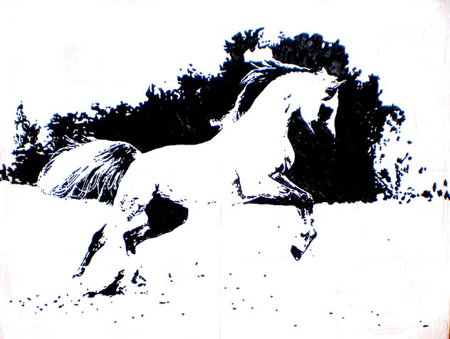 caballo 16