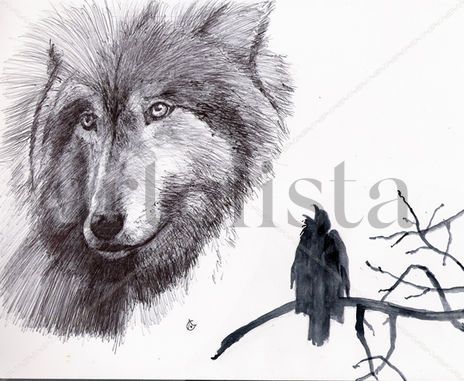 Wolf
