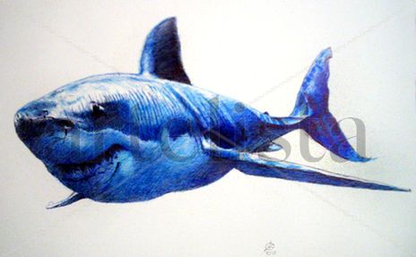 Great White
