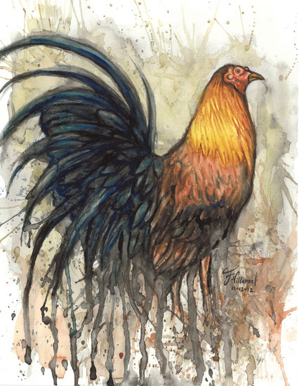 Cock Acuarela Papel Animales