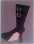 Bota
