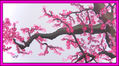 FLORES DEL CEREZO