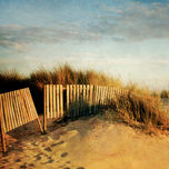 Dunas y Playa thumbnail 2