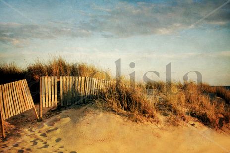 Dune&Fence