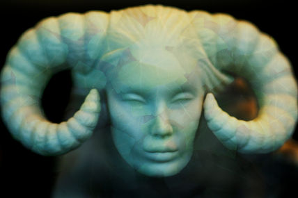 Fairy Head 1