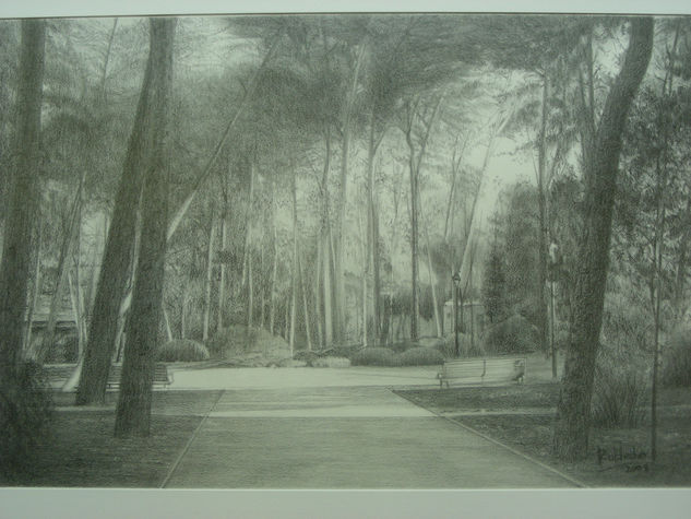 parque de abelardo sanchez  albacete Graphite