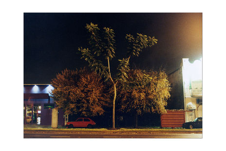 Arboles