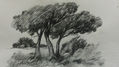 Naturaleza