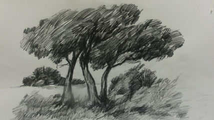 Naturaleza