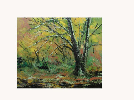 Paisaje