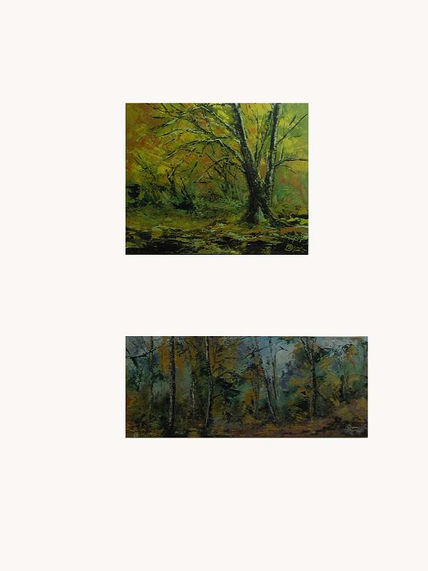 Paisaje
