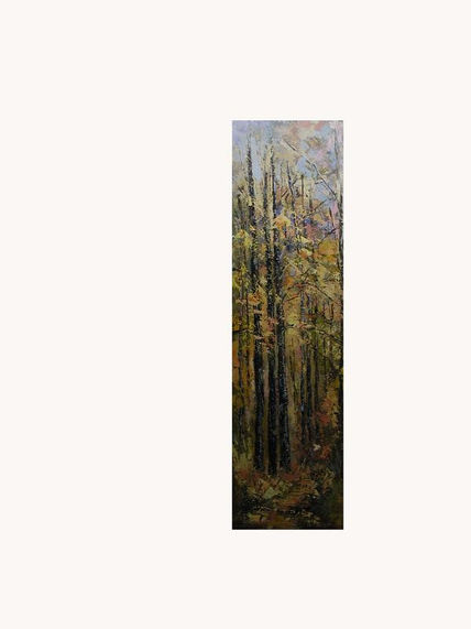 Paisaje